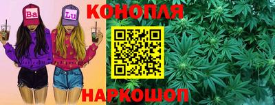 бошки Краснодар