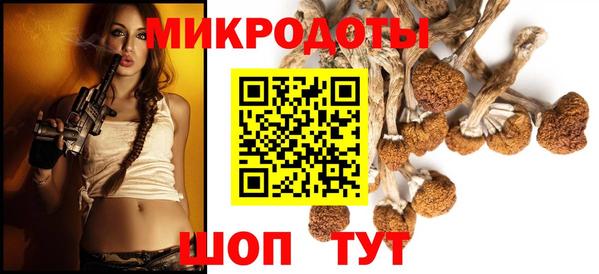 Кемерово  Галлюциногенные грибы MAGIC MUSHROOMS  Псилоцибиновые грибы MAGIC MUSHROOMS  Вход с VPN 
